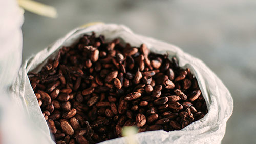 conching-cokelat